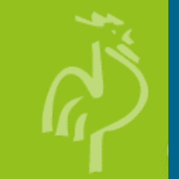 Stilisiertes Hahn-Logo auf grünem Hintergrund, möglicherweise für Branding.