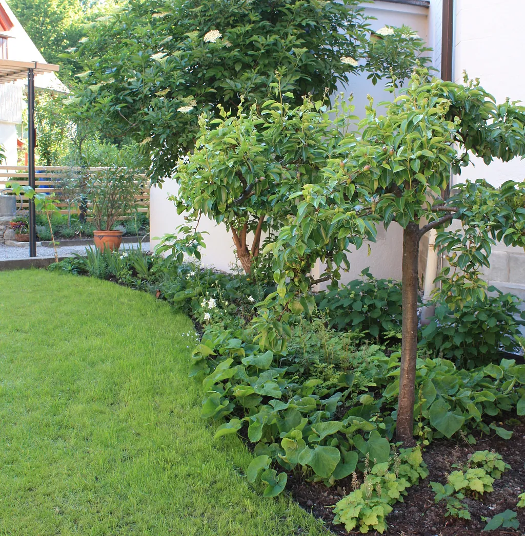 Ein gepflegter Garten mit grünem Rasen, Sträuchern und kleinen Bäumen 